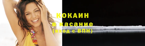 прущие грибы Арсеньев