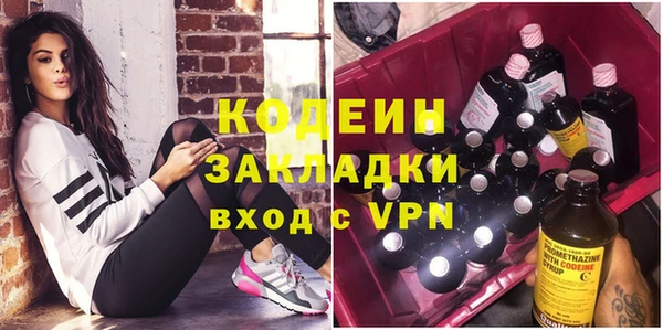 прущие грибы Арсеньев