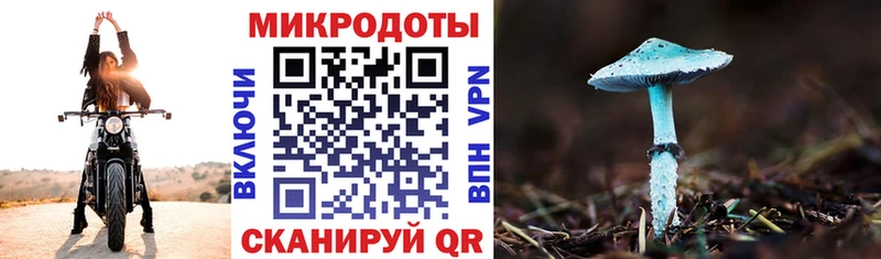 Псилоцибиновые грибы прущие грибы  Купить закладки  Серов 